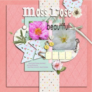 Moss Rose