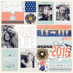 Cover page 2015