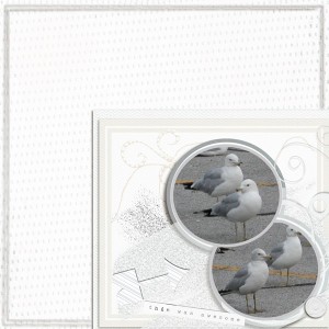 John feeding birds 2
