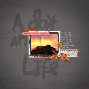 A day in life