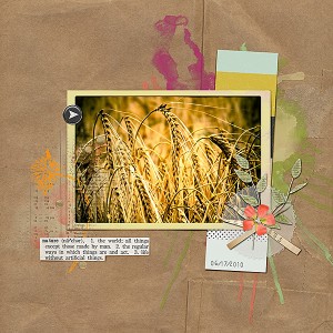 Fields