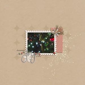 Christmas Joy