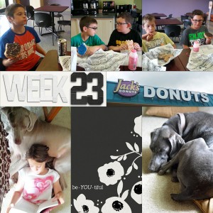 2014 week 23 right
