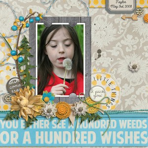 Dandelion Wishes