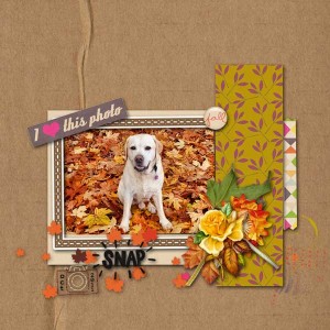 lilypad-moc-jan1-blindscrap