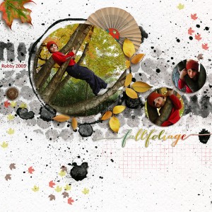 Fall Foliage