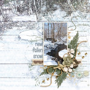 MOC2 New Fallen Snow