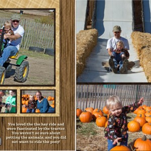 Pumpkin_Patch-small-forgallery