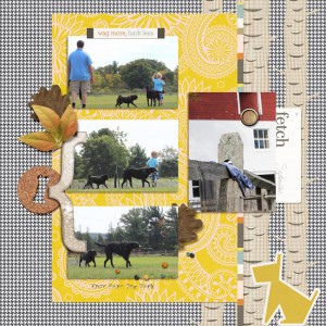 dog park MOC 3