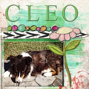 Cleo