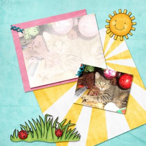 Challeng 5: Photo Effect