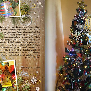 All About our Tree & the Ornaments