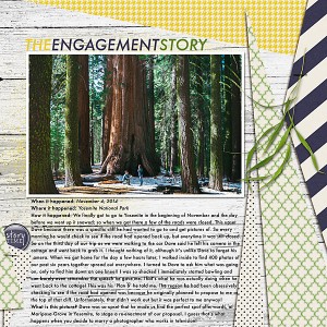 The Engagement Story