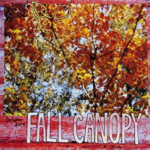 Fall Canopy