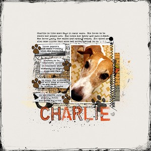 MOC 6 - Charlie