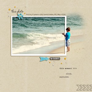 This Photo, MOC #8