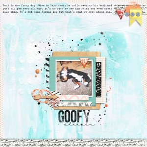 Goofy Sleeper - MOC Jan. 9