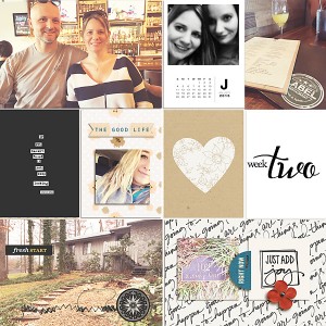 Project Life Week 2A