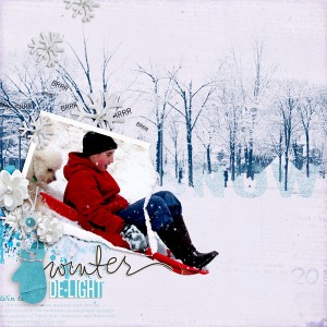 Winter Delight