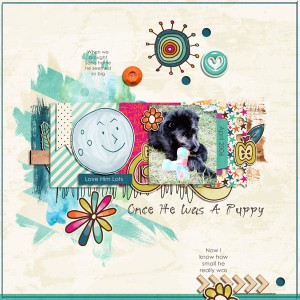 Once He Was A Puppy - MOC January 12