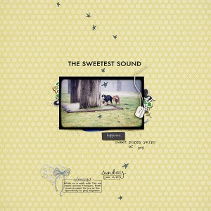 Perfect Sound
