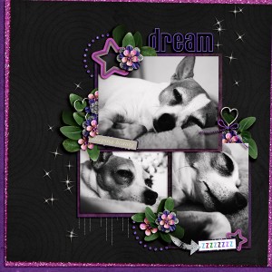 Dream Roxy
