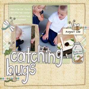 Catching Bugs