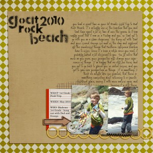 Goat Rock Beach 2010