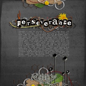 Perseverance