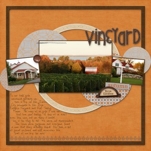 Vineyard