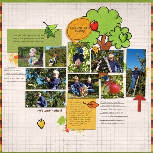 Apple Orchard 2