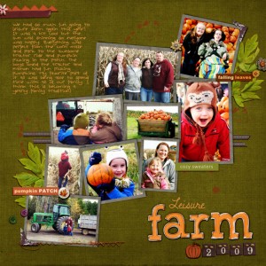 Leisure Farm 2009