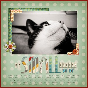 my small friend
