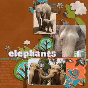 elephants never forget