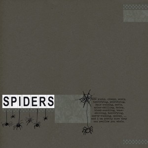 Spiders