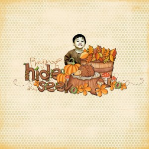 hide & seek