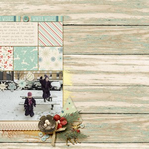 Winter Wishes