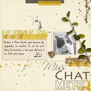 Miss Chat Meteo