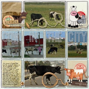 Cow in the City