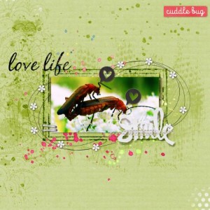 Love Life