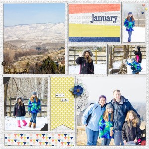 Jan 2015