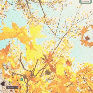 Autumn