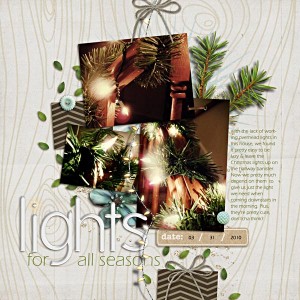 Lights for all seasons