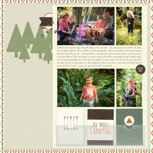 All about Camping