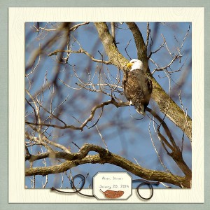 Eagle