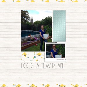 New Plant