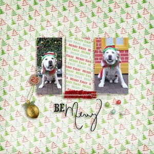 lilypad-moc-jan-21 Clean & Simple Template