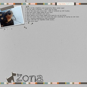 MOC Day 17 - Zona