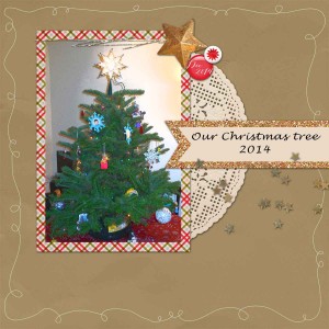 Our Christmas tree 2014