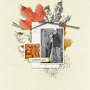 Autumn Air